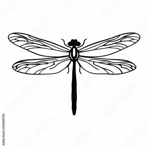 Obraz dragonfly vector illustration