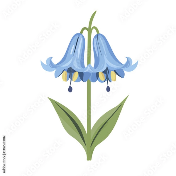 Obraz 2D flat vector illustration bluebell icon isolated on a white background.

