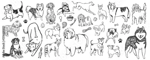 Obraz Hand-drawn doodle dog breeds set, whimsical ink sketched illustrations