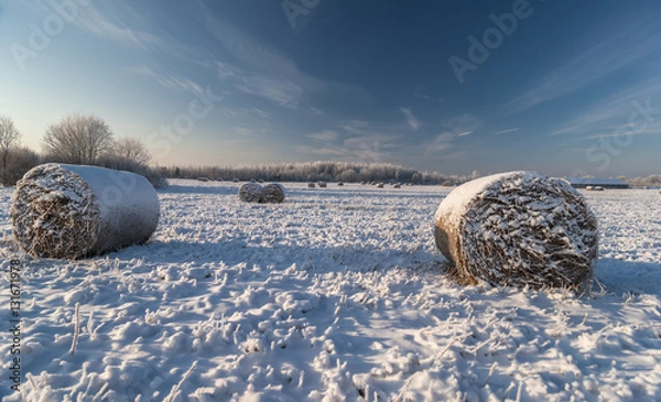 Obraz Snow covered field