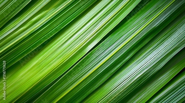 Fototapeta A close-up of vibrant green leaves arranged in a flowing pattern.