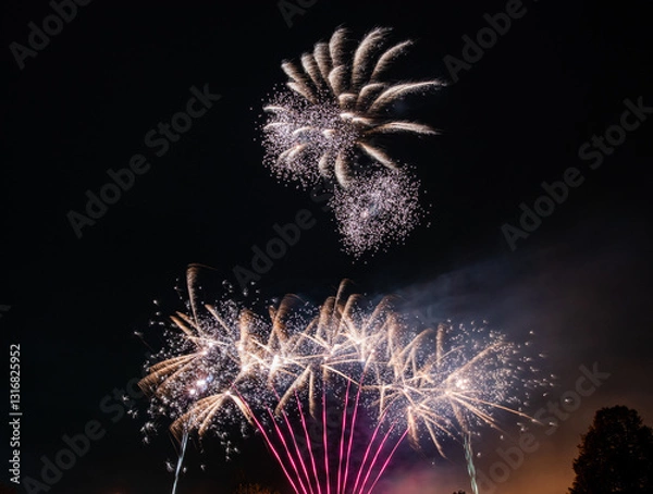 Obraz fireworks in the sky