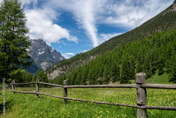 Obraz Berglandschaft