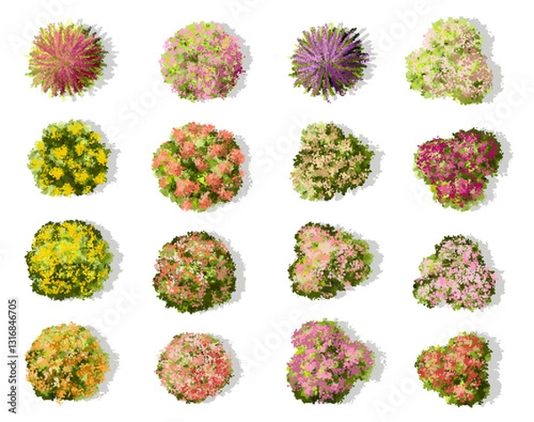 Fototapeta Vector watercolor of blooming tree top view isolated on white background for landscape plan and architecture drawing, elements for environment and garden,botanical elements ,blooming flower in spring