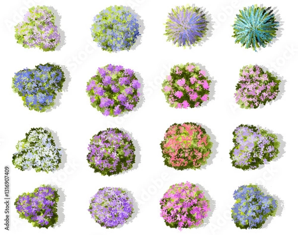 Fototapeta Vector watercolor of blooming tree top view isolated on white background for landscape plan and architecture drawing, elements for environment and garden,botanical elements ,blooming flower in spring