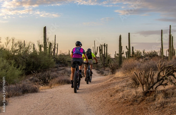 Fototapeta Two People Riding  Mountain Bikes On Desert A Trail In A Preserve In Scottsdale