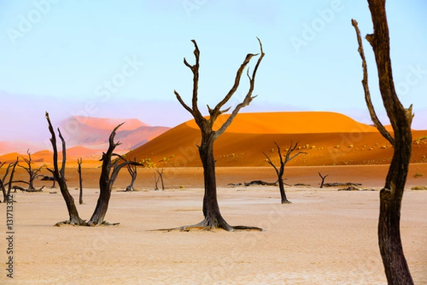 Obraz Sussusvlei Deadvlei - Namibia