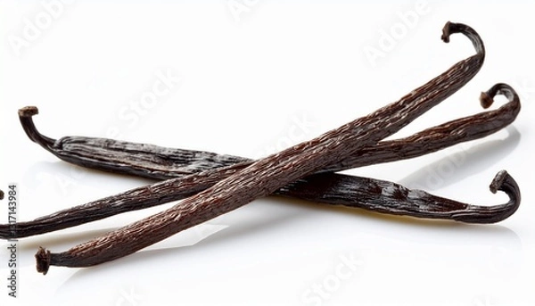 Obraz dry vanilla beans isolated on white background