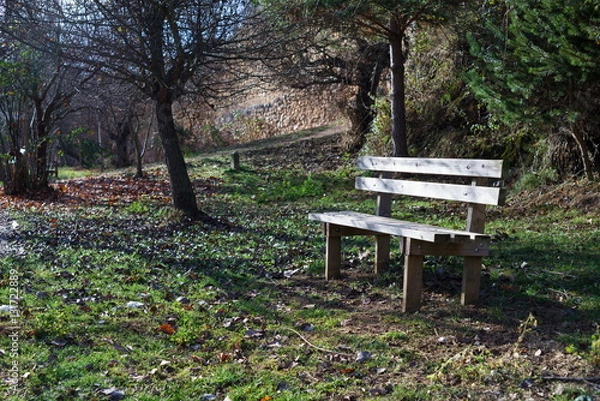 Obraz Lonely bench in the forest.