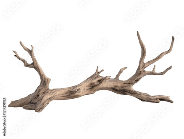 Fototapeta A long, thin branch with many branches coming off of it. The branch is brown and he is dried out