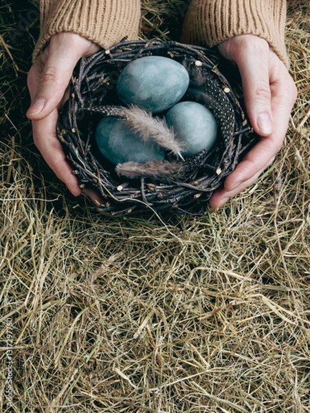 Fototapeta Female hands with birds nest and Easter painted blue eggs among hay background, close-up, vertical image.