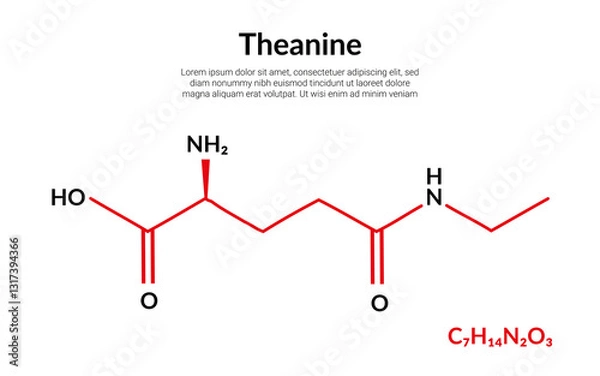 Obraz Theanine or L-theanine molecular structure formula, suitable for education or chemistry science content. Vector illustration