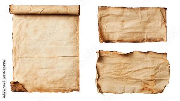 Fototapeta Vintage Aged Paper Scrolls with Creases and Texture Background