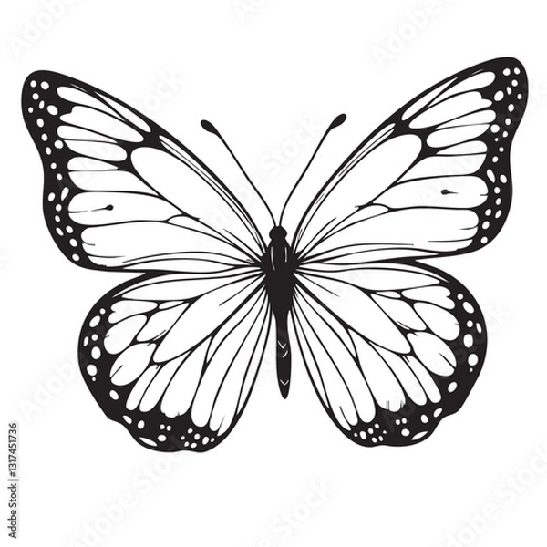 Fototapeta butterfly vector illustration. coloring page