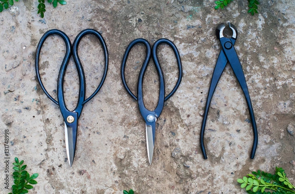 Obraz Garden tools on a rough texture