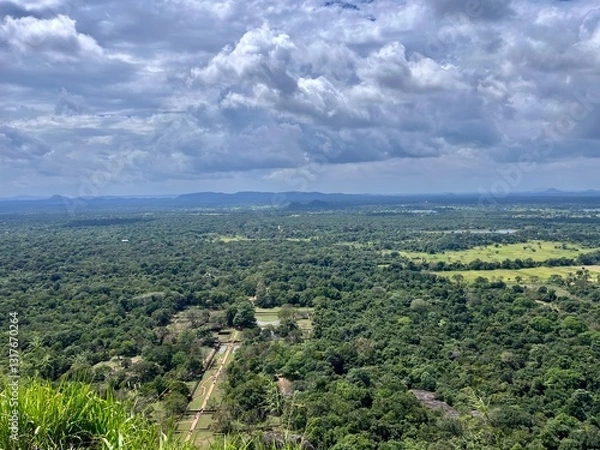 Fototapeta view of the jungle ancient tropical park from above on a sunny day summer vacation atmosphere sightseeing trips