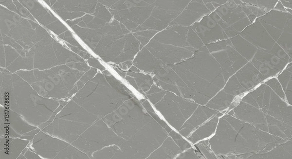 Fototapeta Grey Marble with White Veining Texture