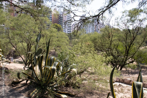 Obraz Córdoba, Argentina