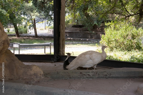 Obraz Córdoba, Argentina
