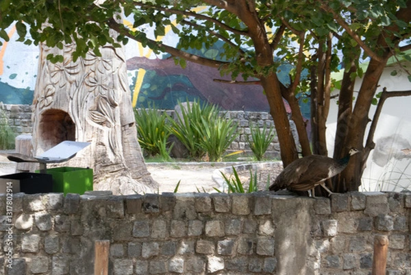 Obraz Córdoba, Argentina