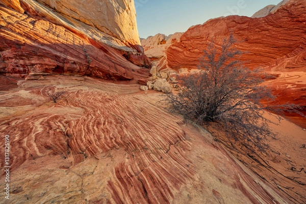 Obraz Unique Rock Formations With Stripes and Desert Vegetation at Sunset in the Remote Location of White Pocket Arizona USA