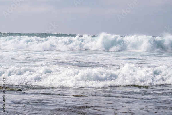 Fototapeta La Jolla Tide Pools, San Diego, California

