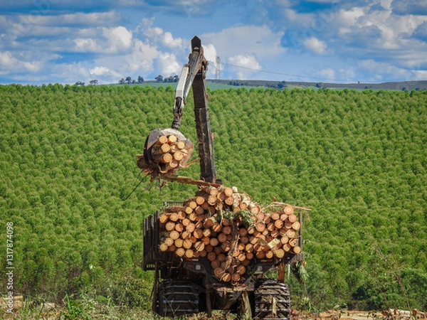 Fototapeta Forestry Machine Wood Harvesting logging