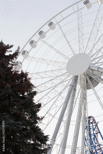 Obraz ferris wheel