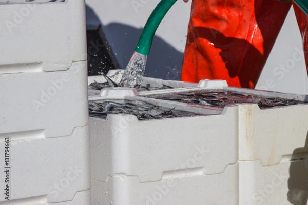 Fototapeta Freschezza 