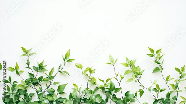 Fototapeta A vibrant display of green leaves against a soft, light background, creating a fresh and natural ambiance. Perfect for a calming, botanical aesthetic.