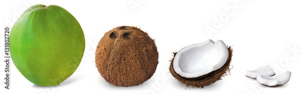 Obraz coconut