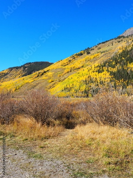 Obraz Beautiful Fall Colors road trip