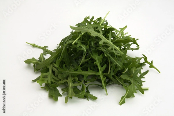 Obraz Rucola