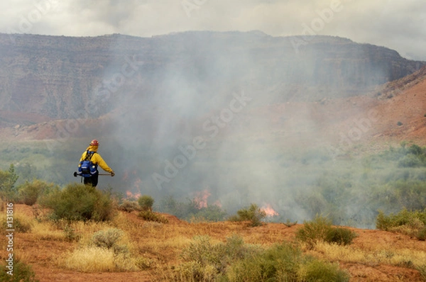 Obraz prescribed burn