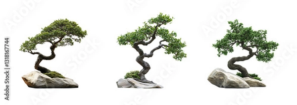 Obraz Set of isolated bonsai trees on a transparent background. Zen decor, minimalist design, creative project. Elegant, timeless, symbol. Balance, harmony, nature’s beauty. web.for. Generative Ai content