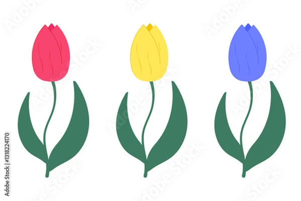 Fototapeta Set of colorful tulips. Collection of isolated spring flowers