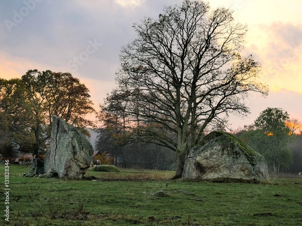 Fototapeta Glacial Erratics