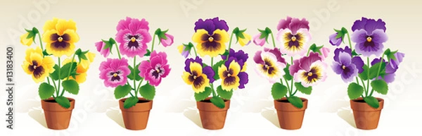 Obraz Pansies
