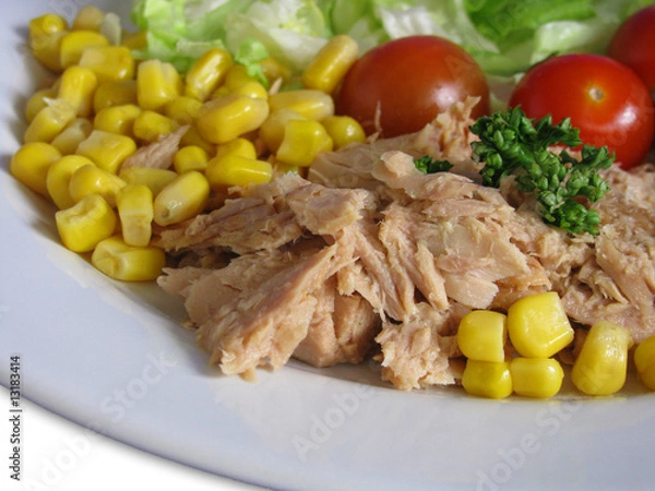 Obraz Thunfischsalat