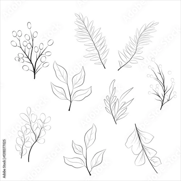 Obraz Set of vector plant elements line