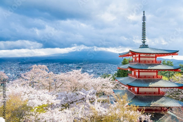 Fototapeta Fujiyoshida, Yamanashi, Japan - APR 17, 2024: Arakura Fuji Sengen Jinja Shrine. Mt Fuji with red pagoda in cherry blossom sakura in spring season .