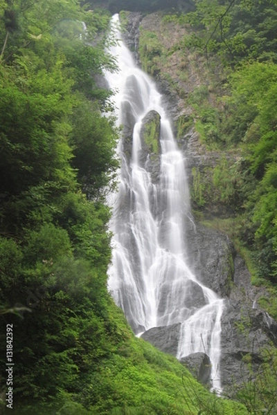 Fototapeta 神庭の滝　岡山県