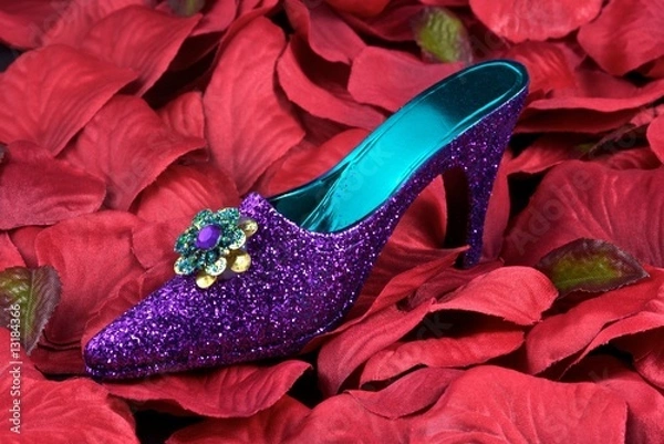 Obraz Glitter Shoe