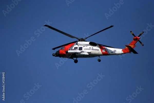 Obraz coast guard to the rescue