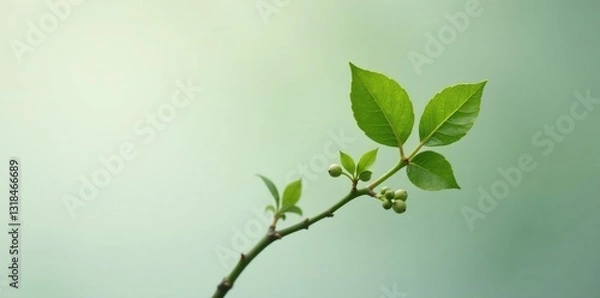 Obraz Small twig with tiny buds on a plain background, leaf, abstract, simple