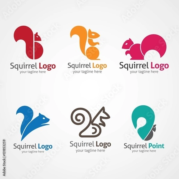 Obraz Squirrel logo design template. Vector Illustration