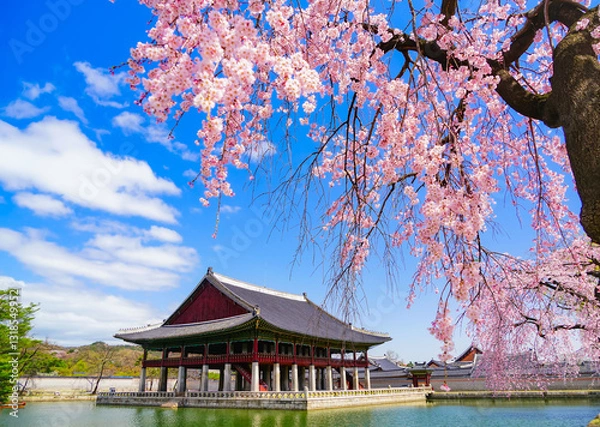 Obraz View of the beautiful cherry blossoms with a traditional Korean house next to a lake in spring in Seoul.