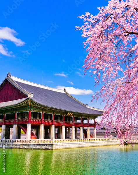 Obraz View of the beautiful cherry blossoms with a traditional Korean house next to a lake in spring in Seoul.