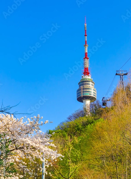 Obraz View of the Seoul Tower and some flowers in spring in Seoul, South Korea.
