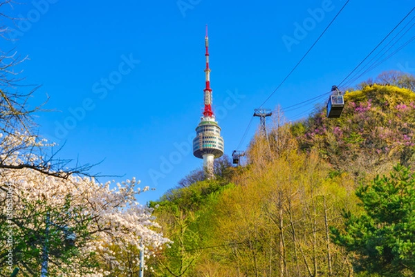 Obraz View of the Seoul Tower and some flowers in spring in Seoul, South Korea.